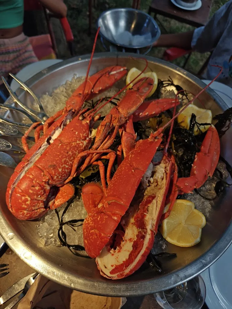 Ka Pa_L'Huître et la Vigne_Saint-Hilaire-d'Ozilhan_avis