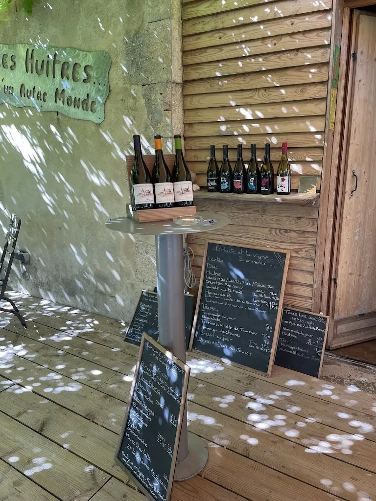 Laura Kamp_L'Huître et la Vigne_Saint-Hilaire-d'Ozilhan_avis