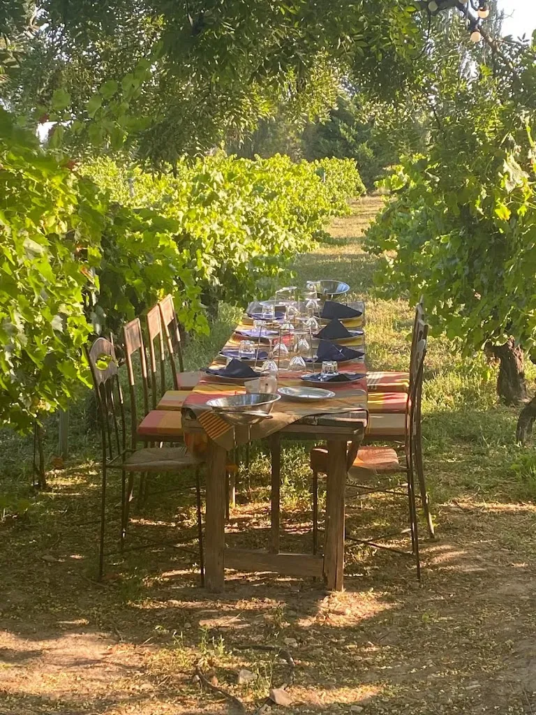 L'Huître et la Vigne ristorante a Saint-Hilaire-d'Ozilhan