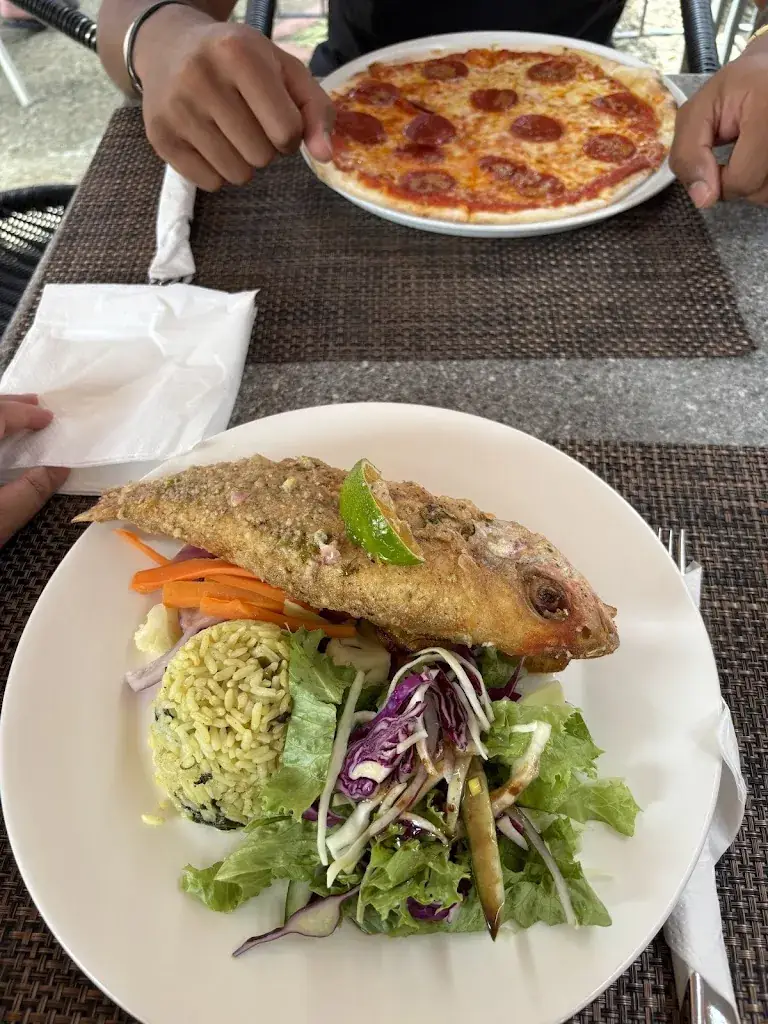 Aleina Allen_Pink Papaya_Lucia_recensione