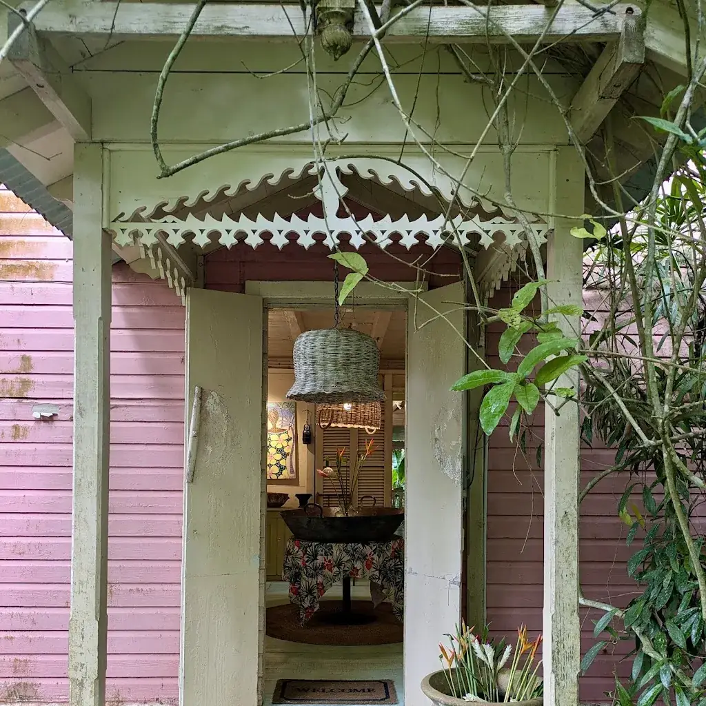 Tony Ackroyd_Pink Plantation_Lucia_review