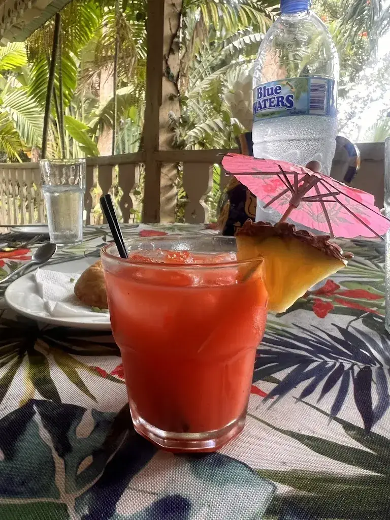 omi cowan_Pink Plantation_Lucia_review