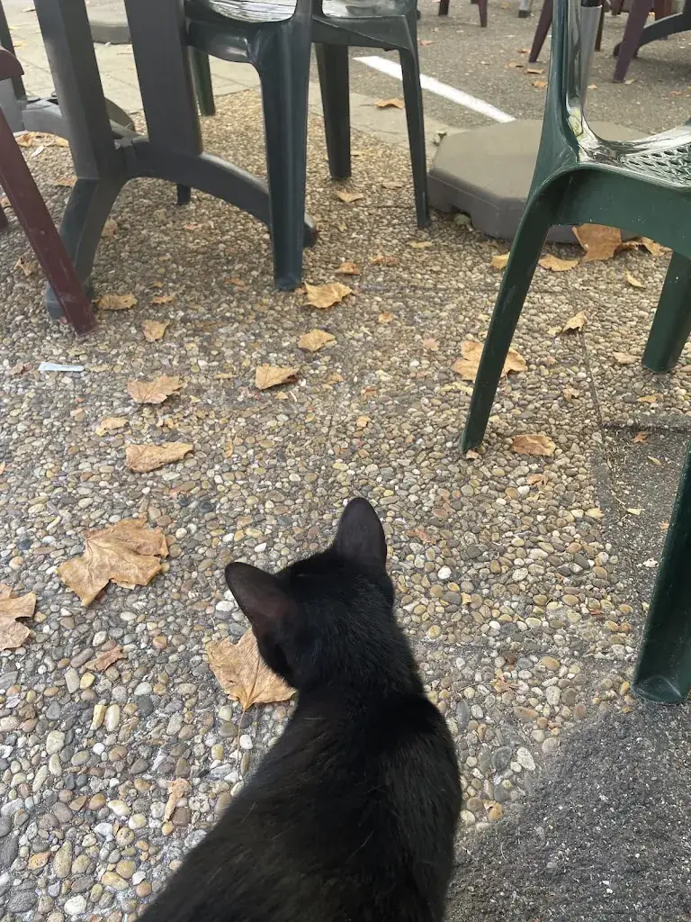 April De Wilde_La Grande Fontaine_Caunes-Minervois_review