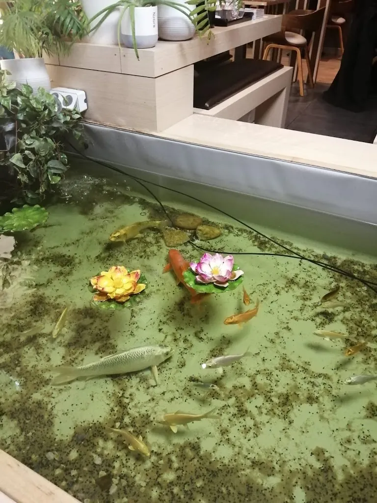 Ansolulo_Le Monorom_Castelsarrasin_avis