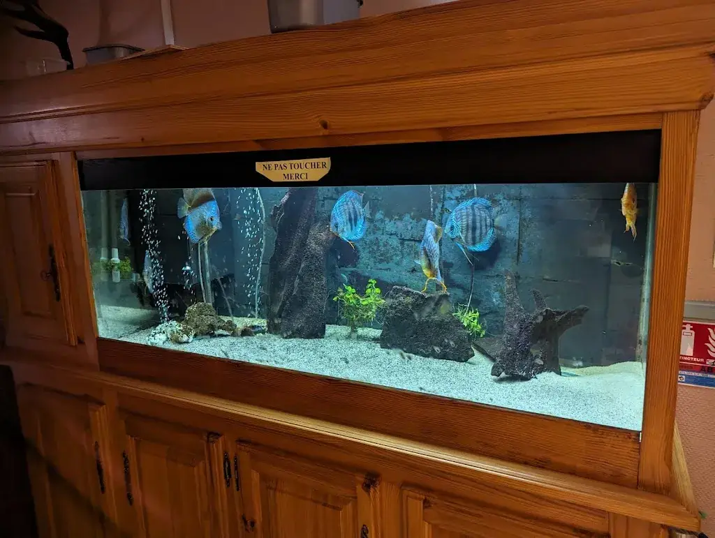 Daniel Patrick Linder_Hôtel restaurant la Renaissance_Arlanc_review