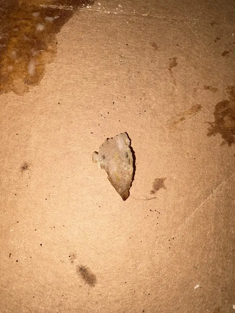 Sarah Mallen_Pizza Peperoni_Castelsarrasin_review