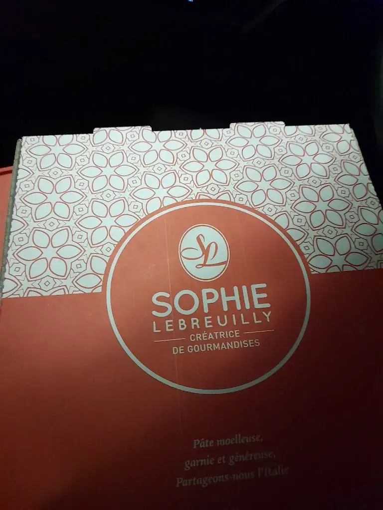 Rudy Veguer_Sophie Lebreuilly_Castelsarrasin_review