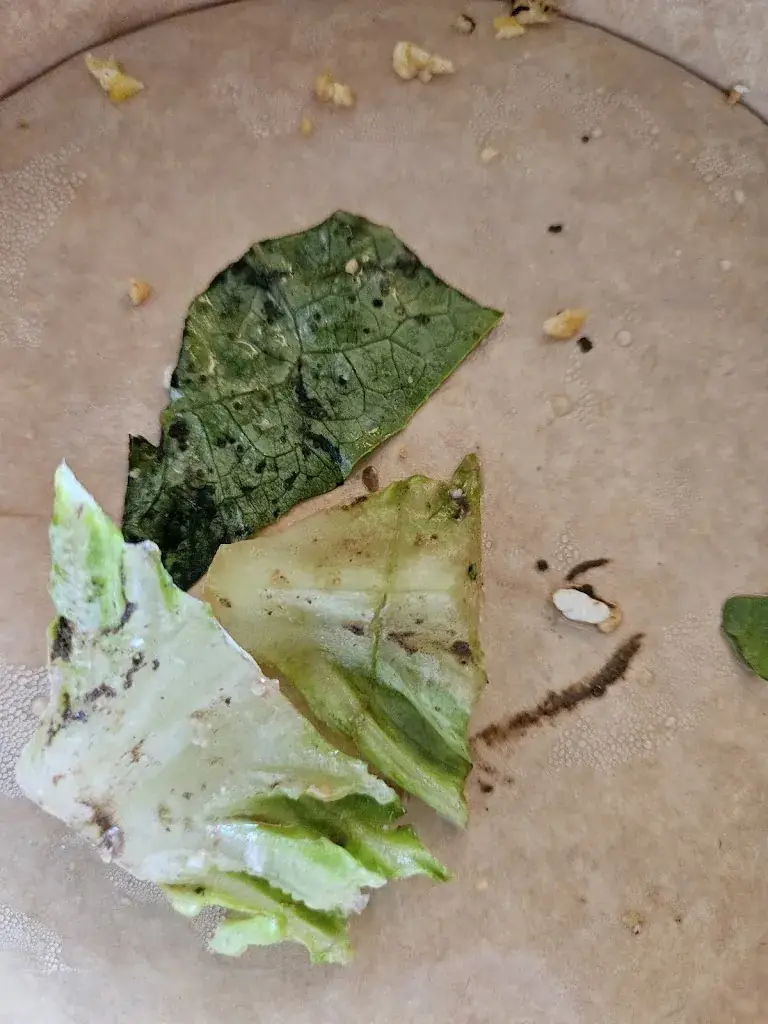 Menu_La Panetière Aux Saveurs d'Antan_Castelsarrasin_image_4