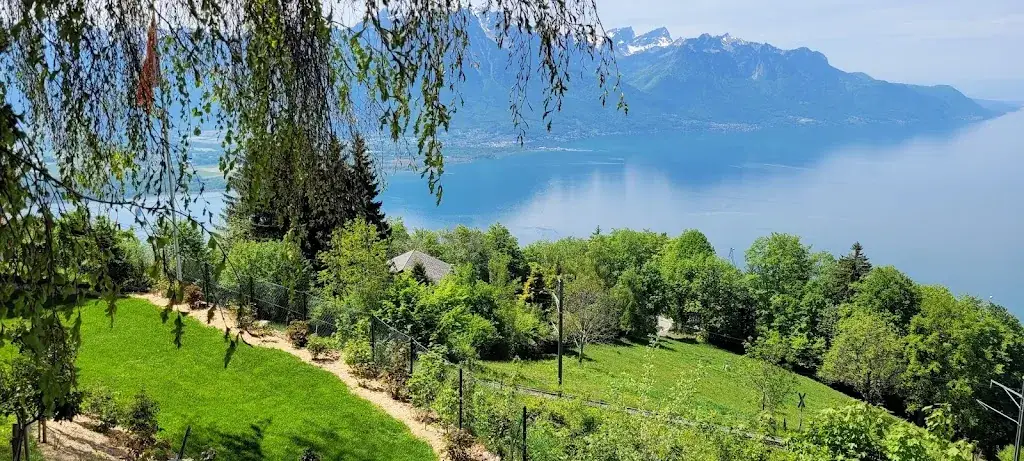 Gérald Heen_Les Délices de Caux_Montreux_recensione