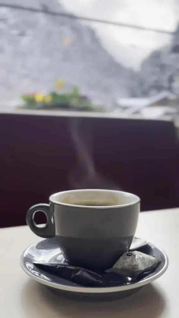 Maksym Orlovskyi_Le chalet des Pyrénées_Cauterets_review