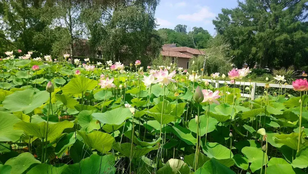 Le Bistrot à Claude_Cazaubon_slider_image_3