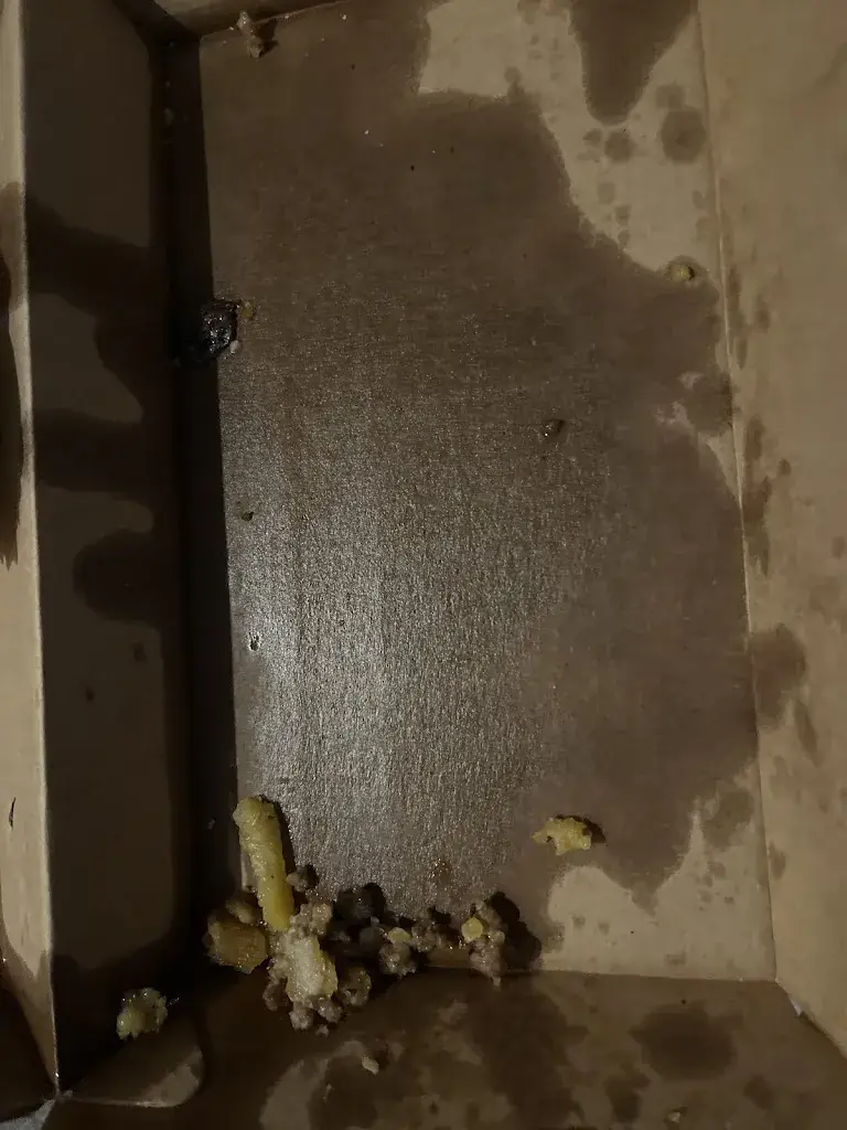 Mathieu Kaffler_L'Instant Tacos kebab burger_Cépet_recensione