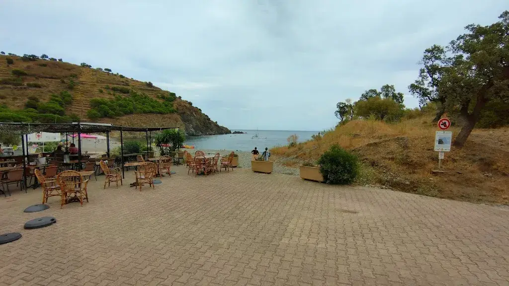 Wim Vandenbossche_Le bout du Monde_Cerbère_review