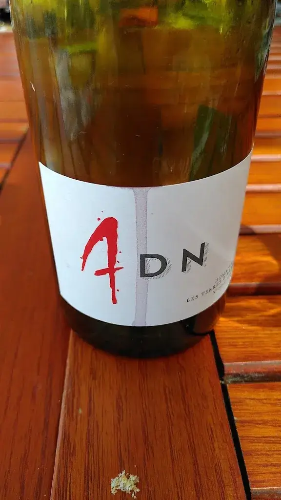 bruno cauquil_Le Vieux Puits_Maraussan_recensione