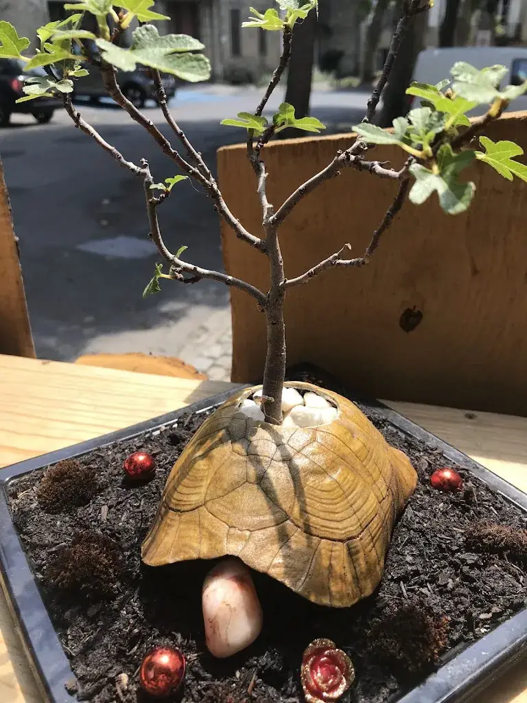 Menu_Café des Sports_Chalabre_image_4