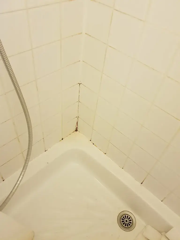 Isabel Gomes_Le Gabelois_Cintegabelle_review