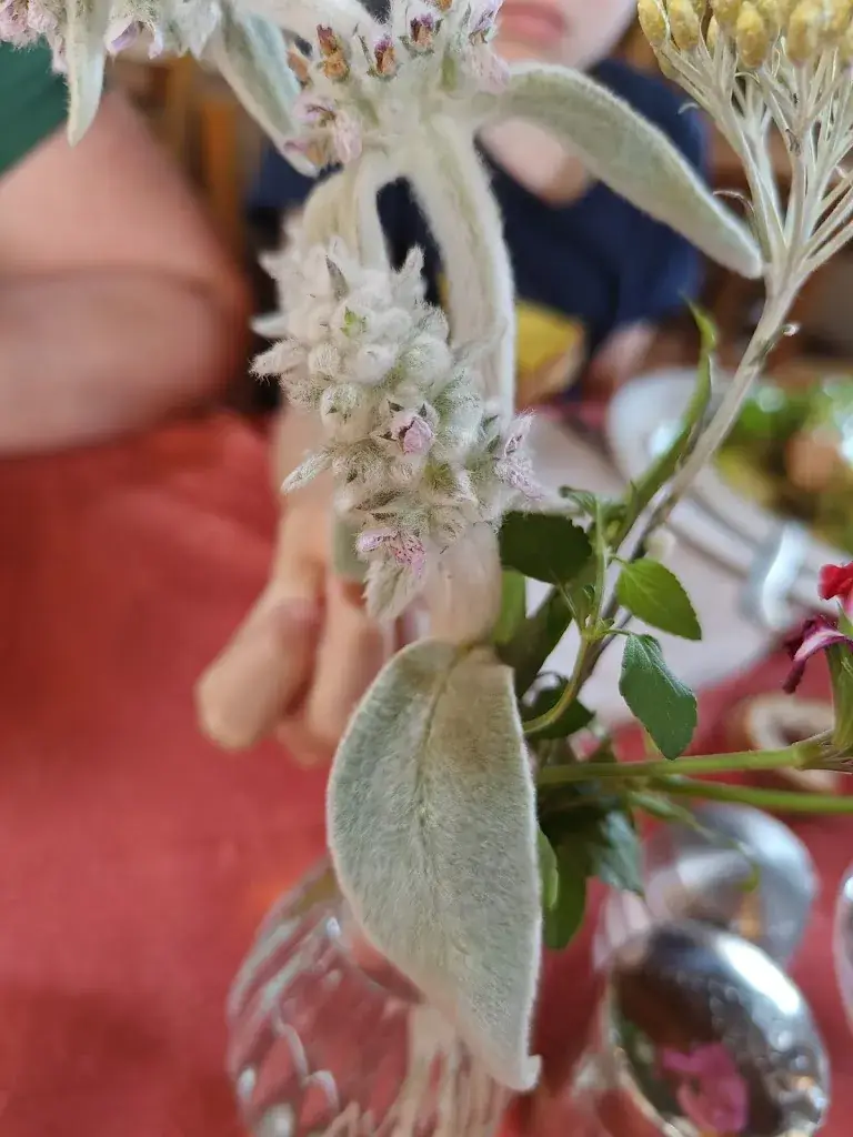 Yves Frosio_La Ferme Auberge Le Pradeille_Chanac_review