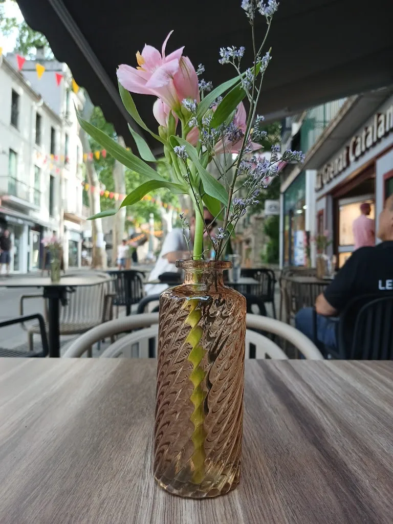 Louis Casey-Gibbs_Le Quatre_Céret_review