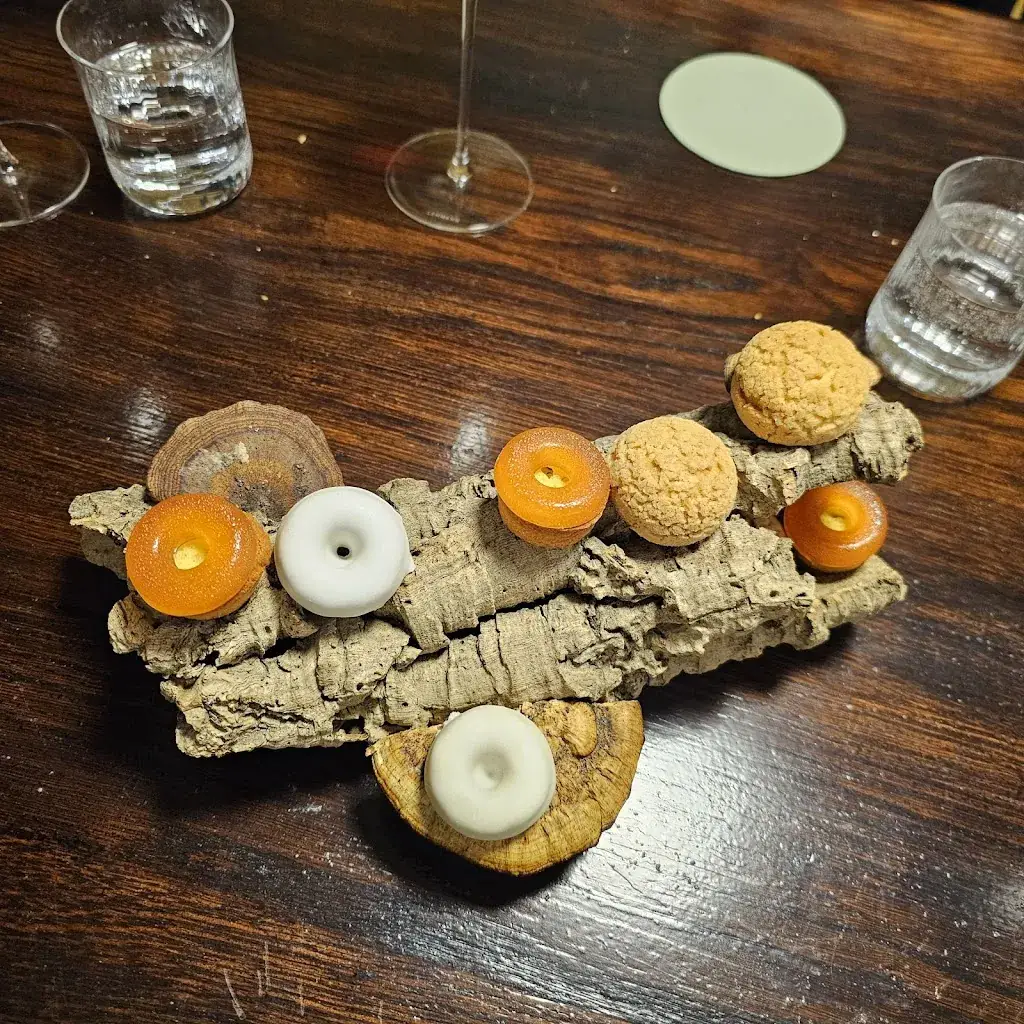 Fario_Céret_slider_image_2