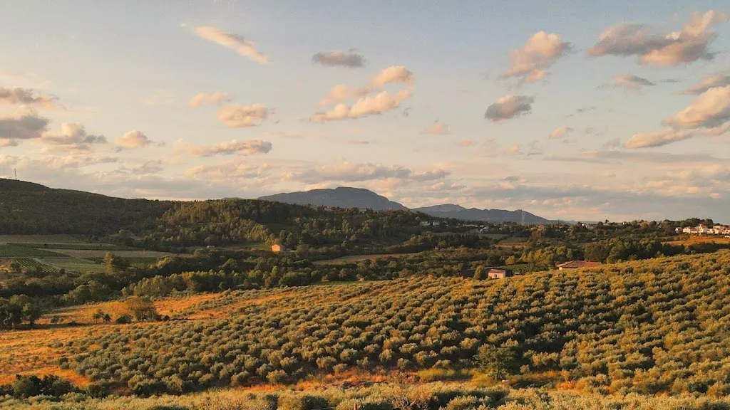 Domaine l'Oulivie : Restaurant et Producteur d'huiles d'olive ristorante a Combaillaux