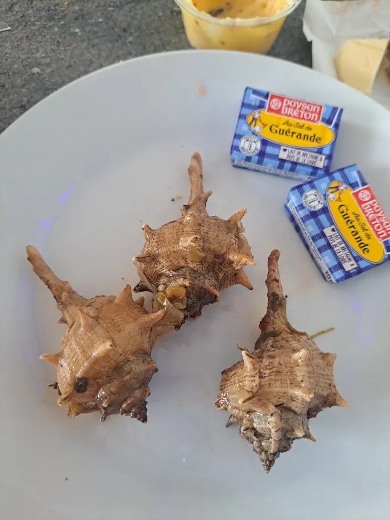 David Pomport_La Maison du Coquillage_Saint-Gély-du-Fesc_review