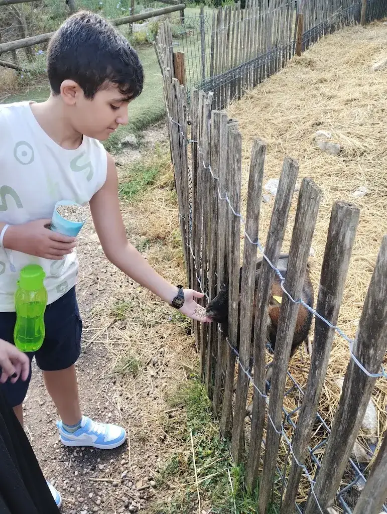 Verônica Maria_A La P'tite Ferme_Combaillaux_review