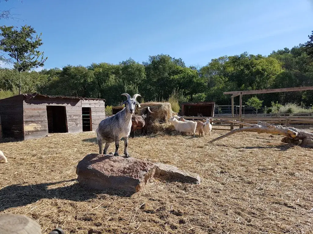 A La P'tite Ferme_Combaillaux_slider_image_2