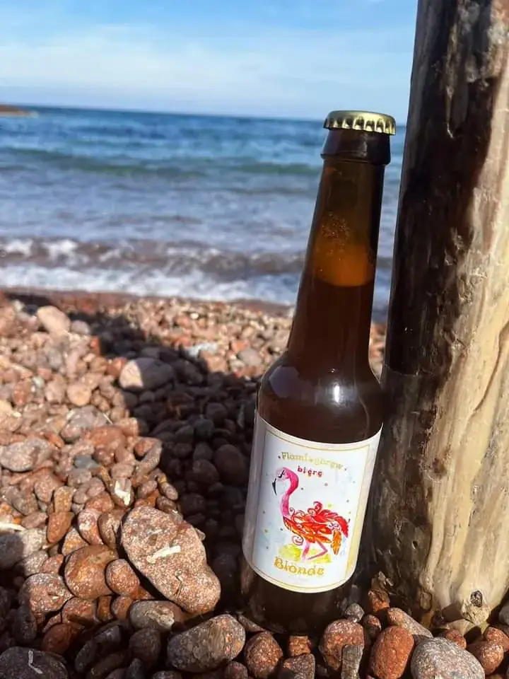 Menu_Flamingbrew_Combaillaux_image_2