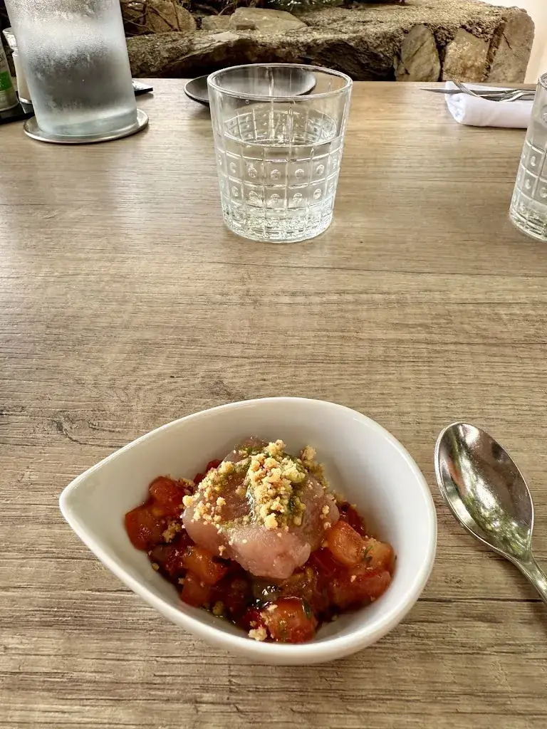 Louis Lloyd_Restaurant Le Neptune_Collioure_review