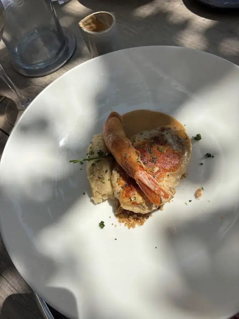 Nichola Wyeth_Restaurant Le Neptune_Collioure_review