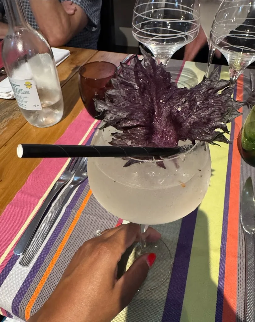 Tanya_Le 5ème Péché_Collioure_recensione