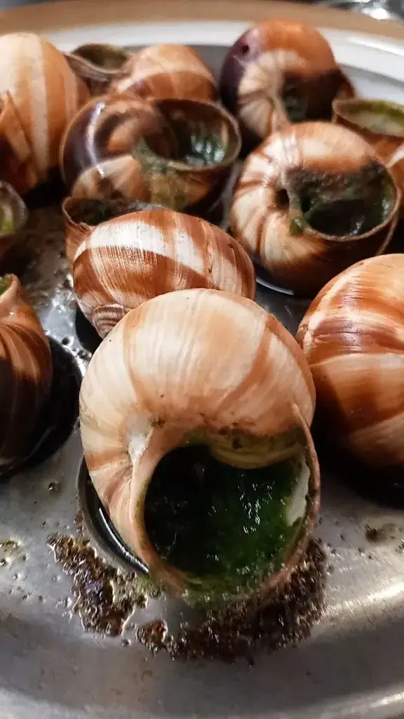 L'Aérogare_Saint-Sulpice-la-Pointe_slider_image_2