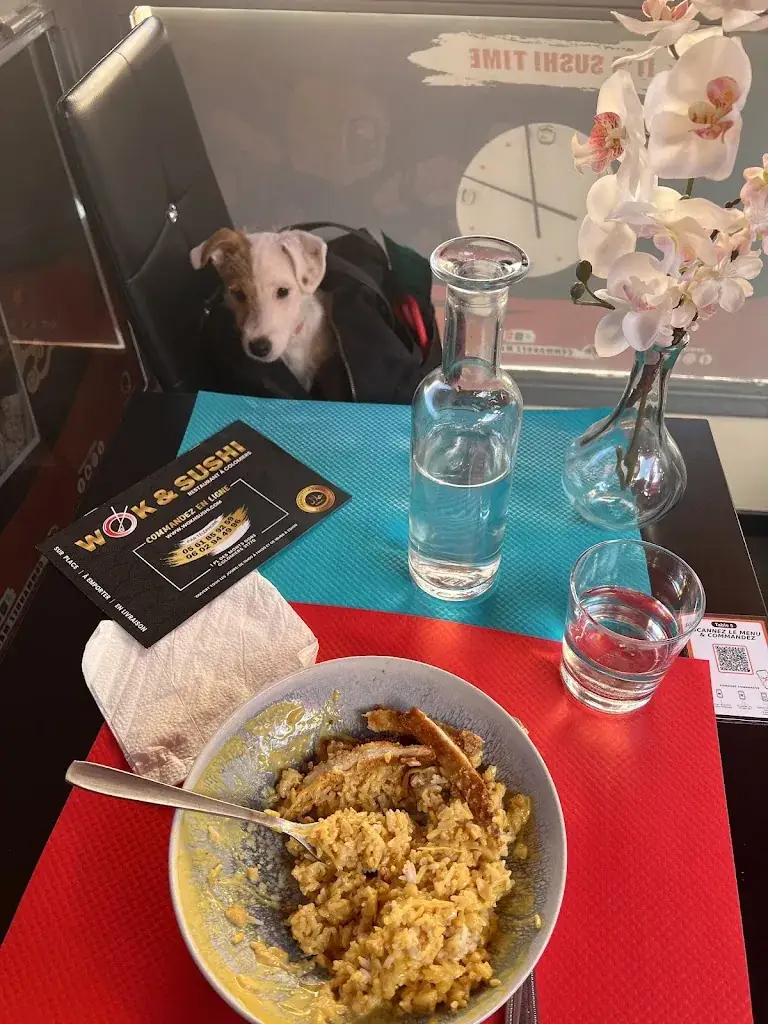 Vincent TANG_Wok & Sushi Restaurant_Colomiers_review