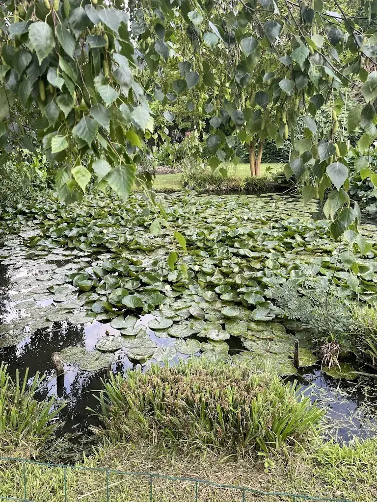 HJ Park _Restaurant Le Cantou_Toulouse_recensione