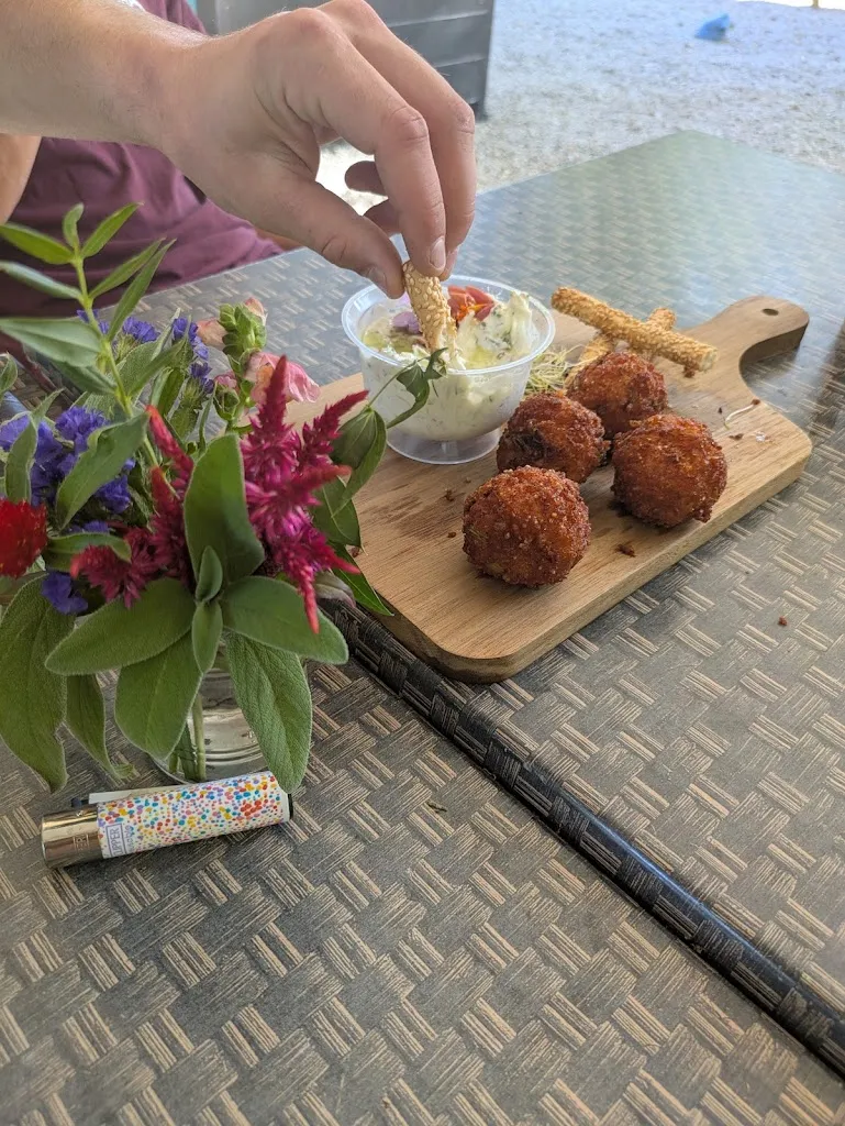 anais gonnod_Le Ventriloque Guinguette_Couiza_review