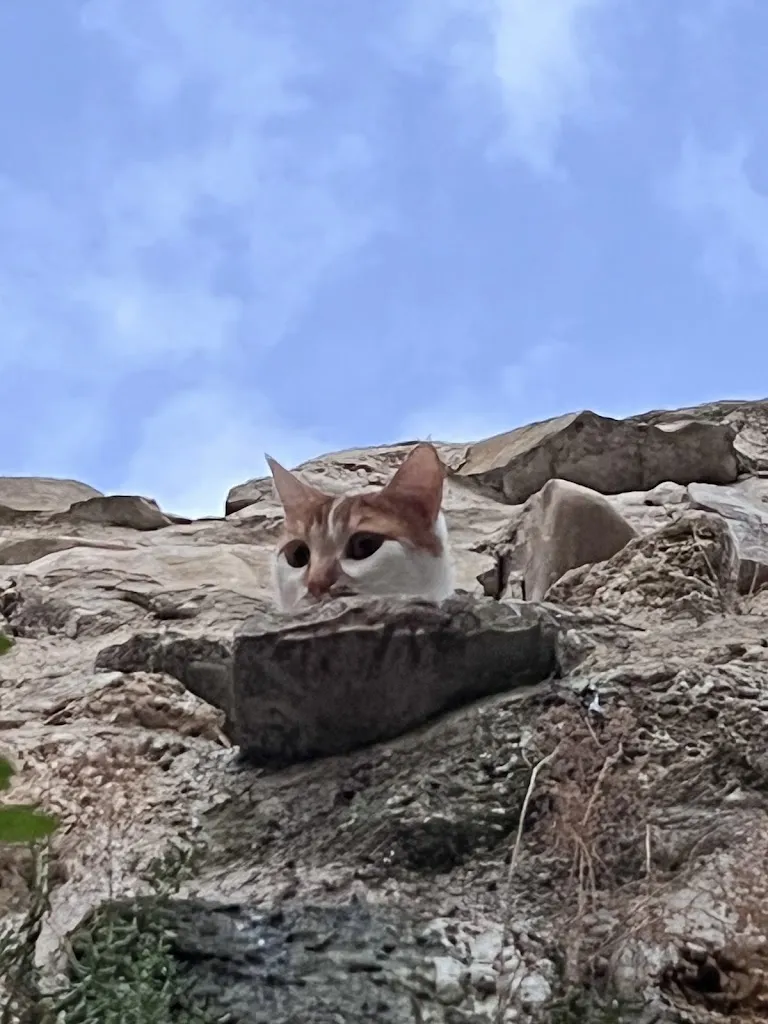 James AUDRY SPENCER_Canoë Cafe _Creissels_review