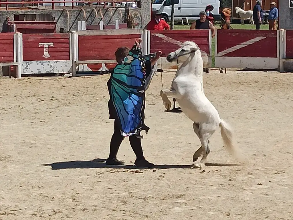 liliss lilye_Les Arenes_Coursan_review