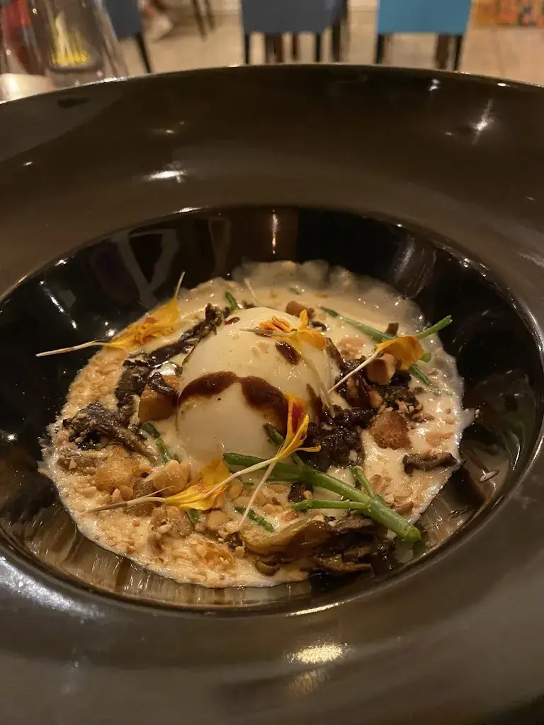 Michel Radosevic_La bonne excuse Narbonne_Narbonne_review