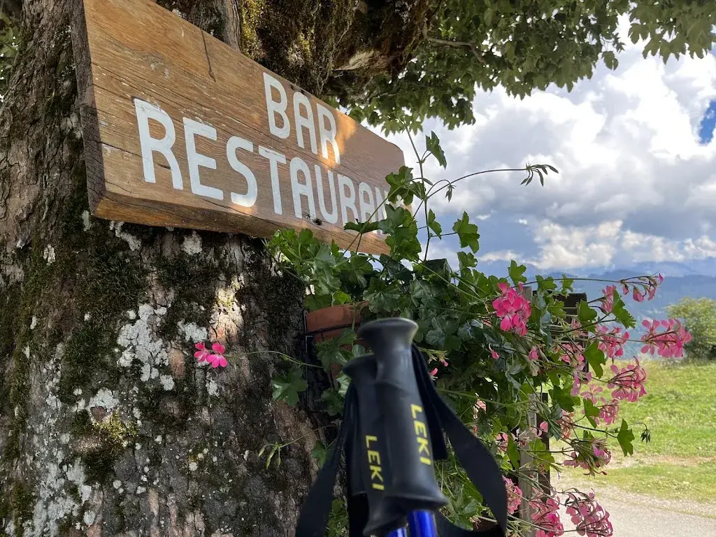 John Driscoll_Les Chevrelles_Gets_review