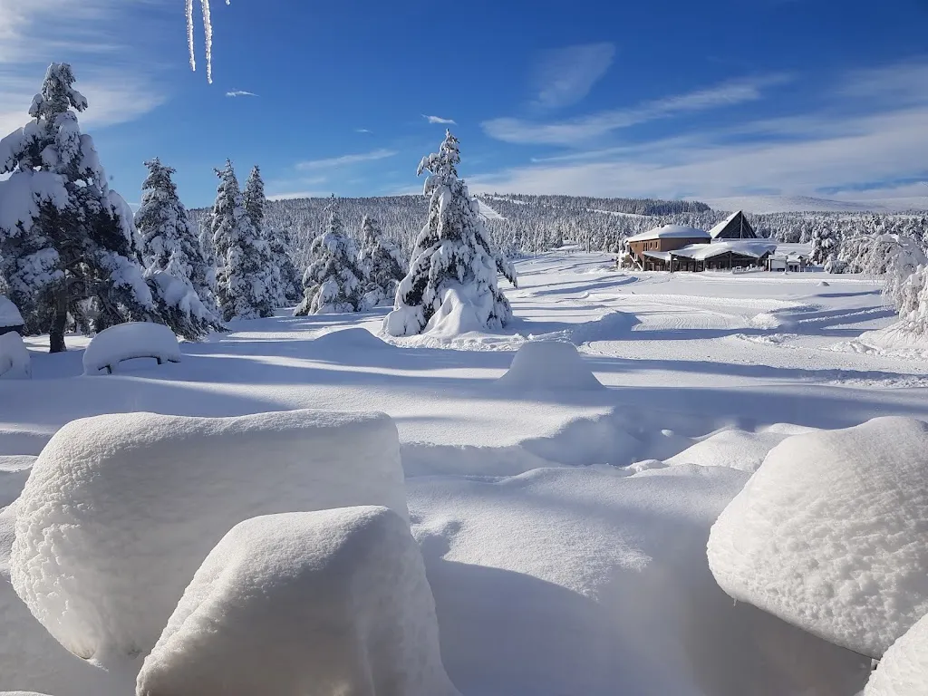 Chalet du Mont Lozère - Hôtel - Restaurant - Bar - Cévennes_Cubières_slider_image_1