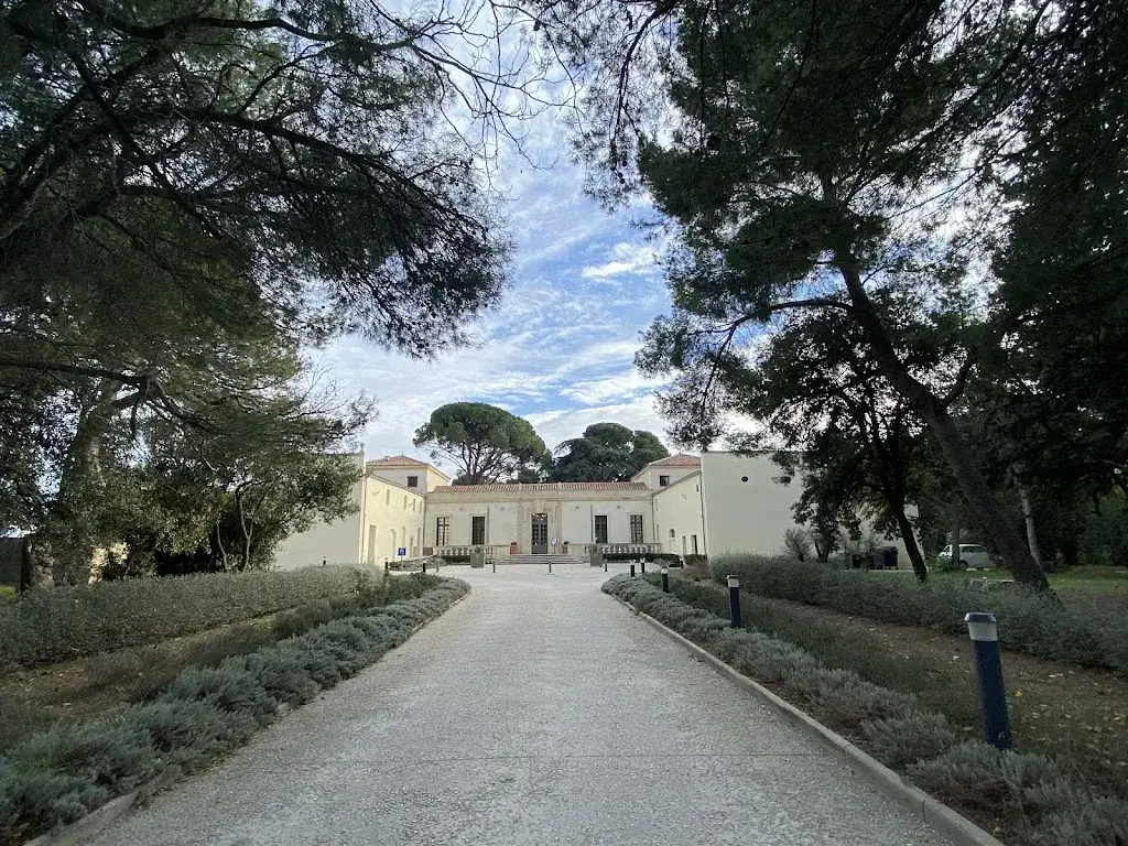 Kirsten Petersen_Area Du Grand Puy_Montpellier_review