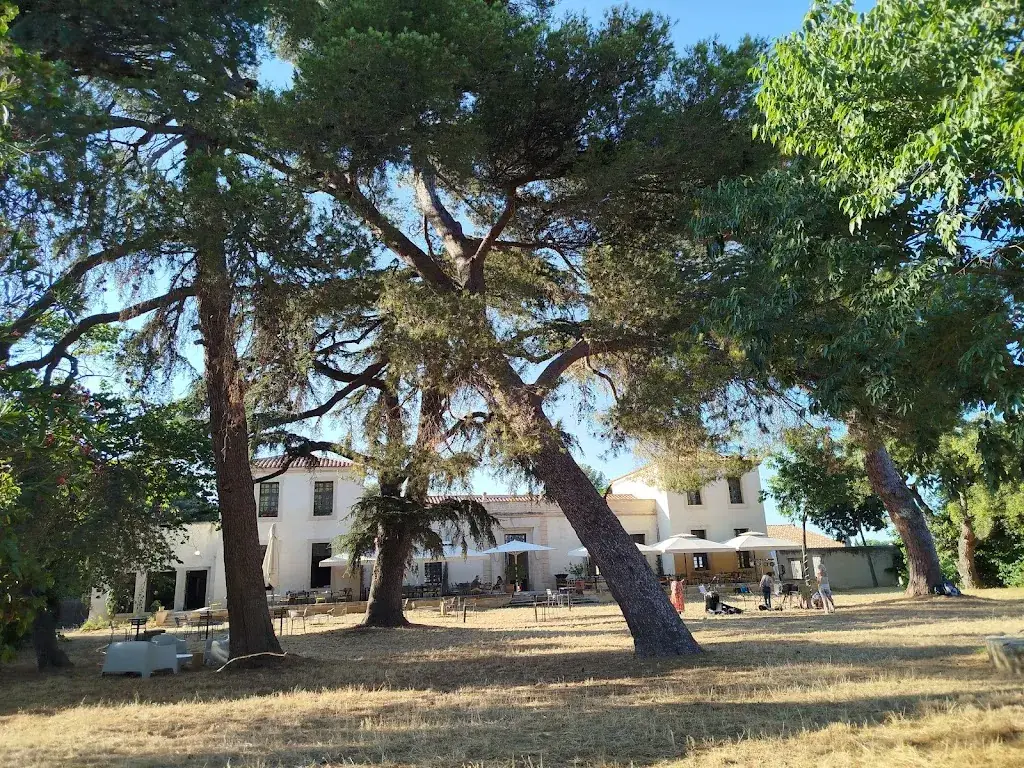 Dominique Richaud_Area Du Grand Puy_Montpellier_review