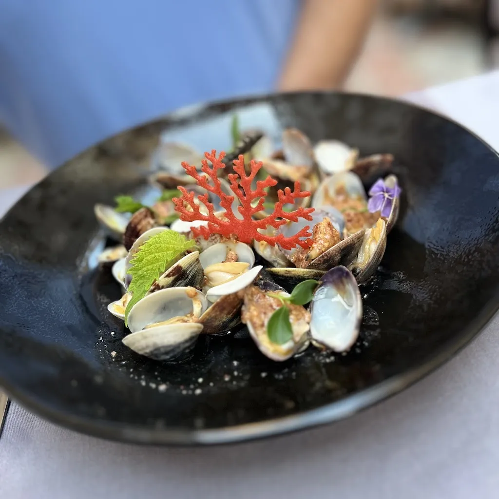 Elena Wood_Le 17_Perpignan_review