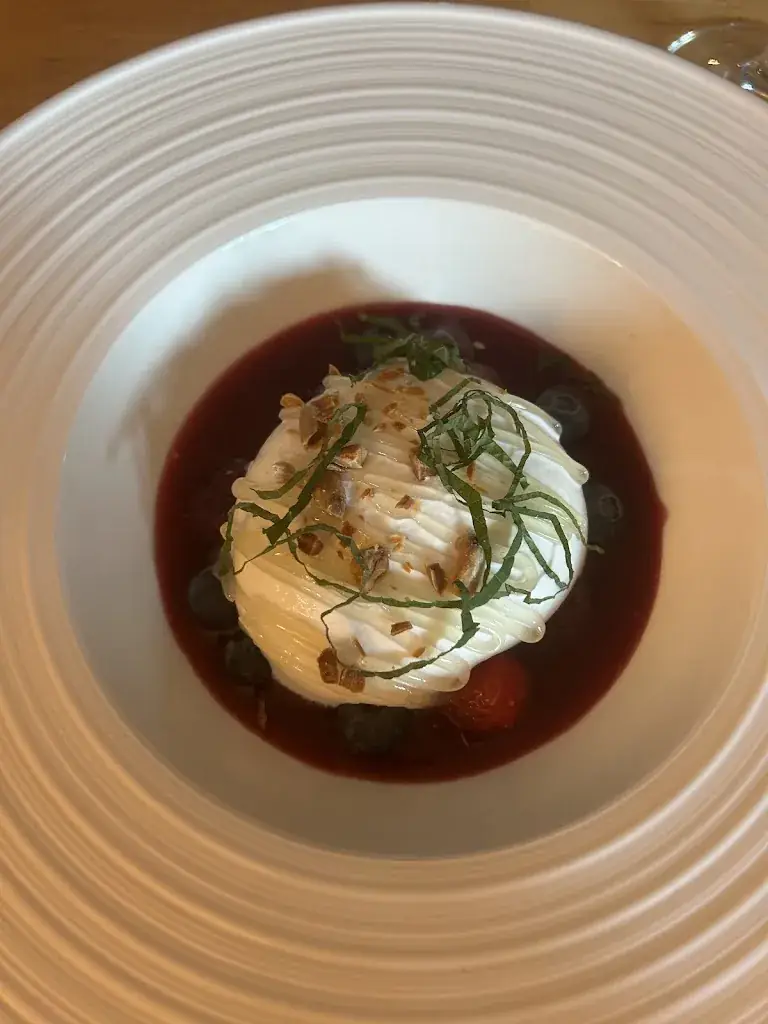 Alicia Carrillo_Idea_Elne_review