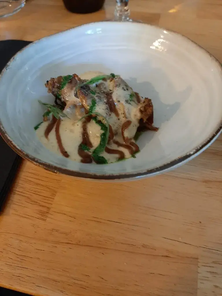 regis salic_Idea_Elne_review