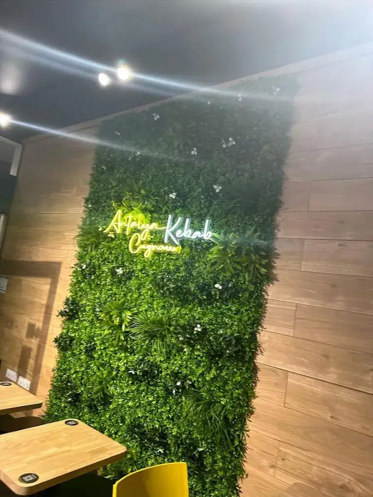 Noura Debbabi_Antalya Kebab_Cugnaux_review