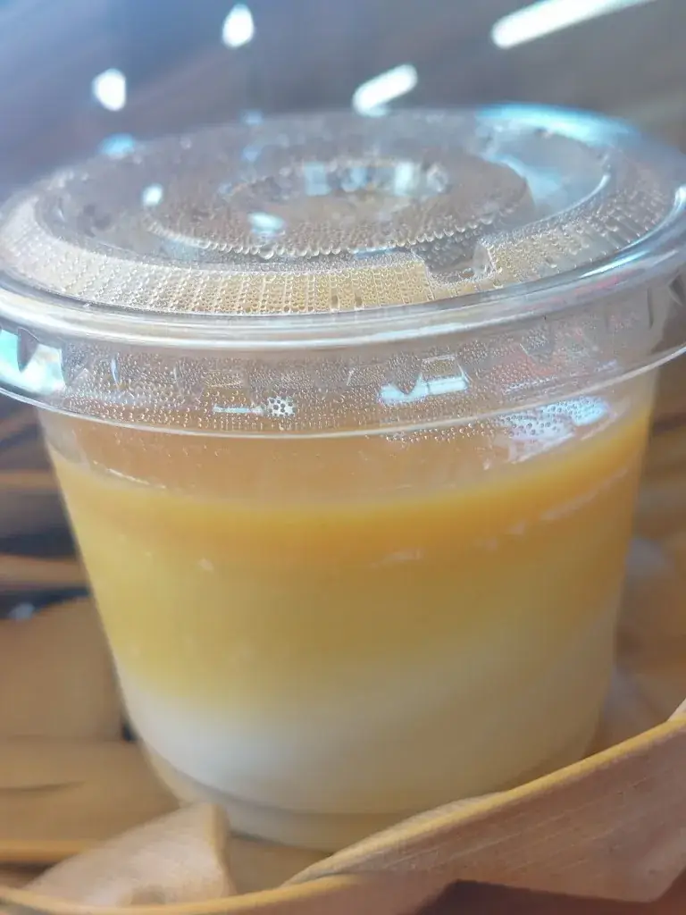 Menu_Manzé Rényoné_Cugnaux_immagine_8