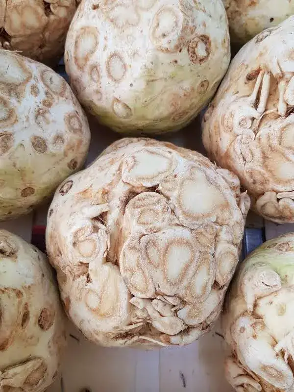 Menu_Le Bar du Marché_Eauze_image_9