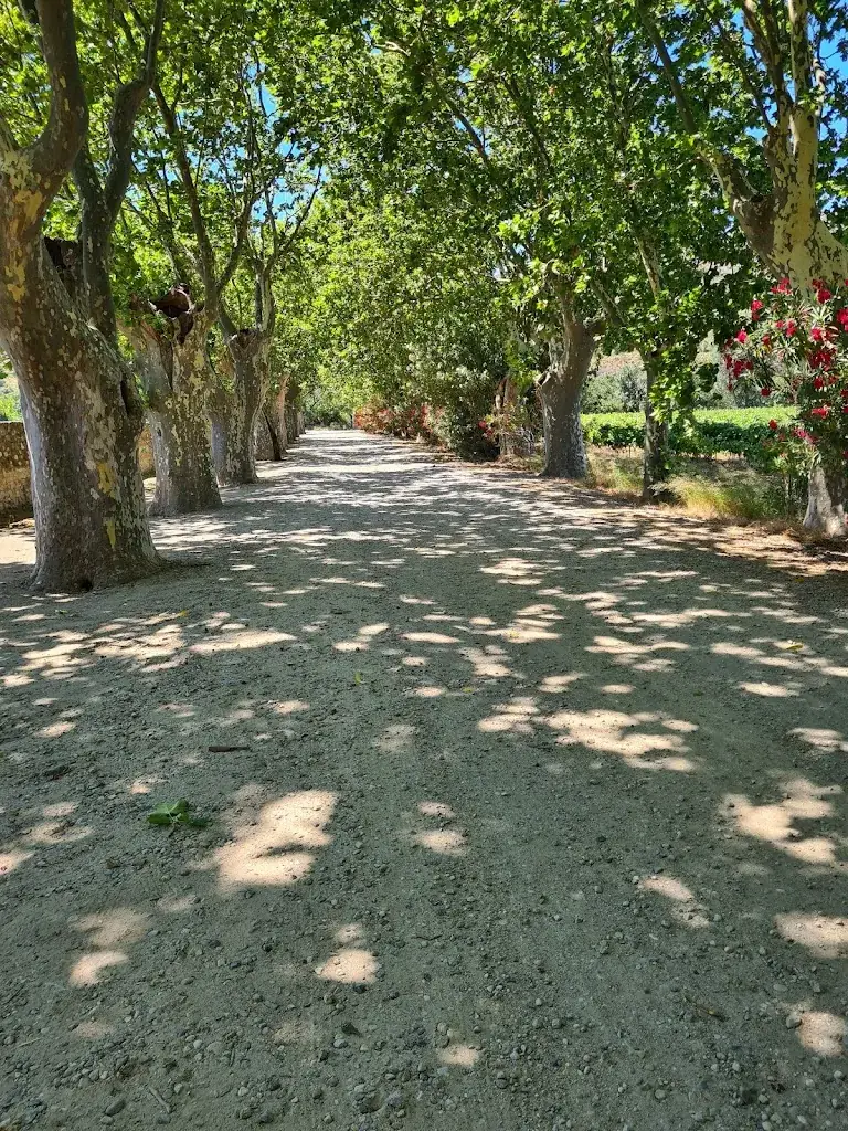 Mark Gandhi_Château de Jau - Le Grill_Cases-de-Pène_Bewertung