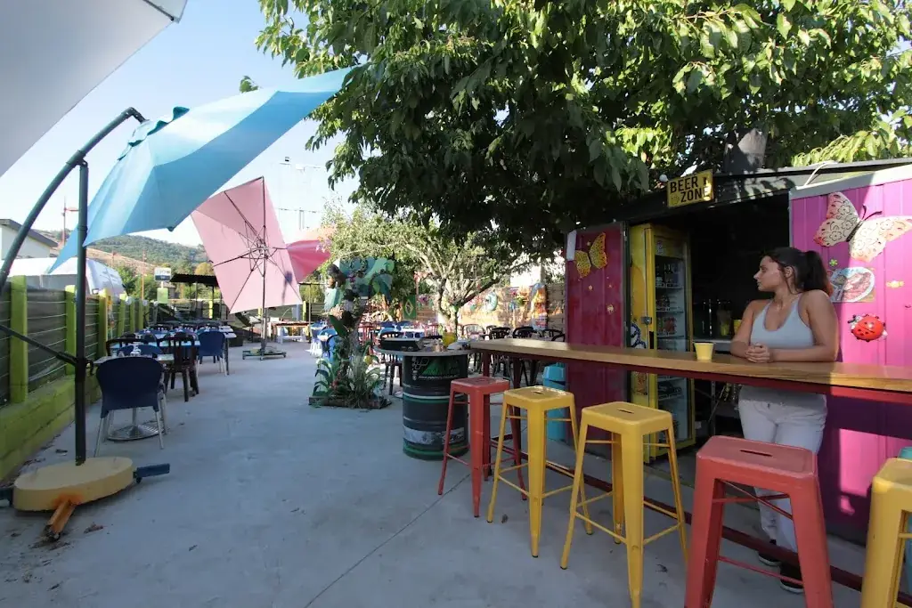 Iguana_Firmi_slider_image_1